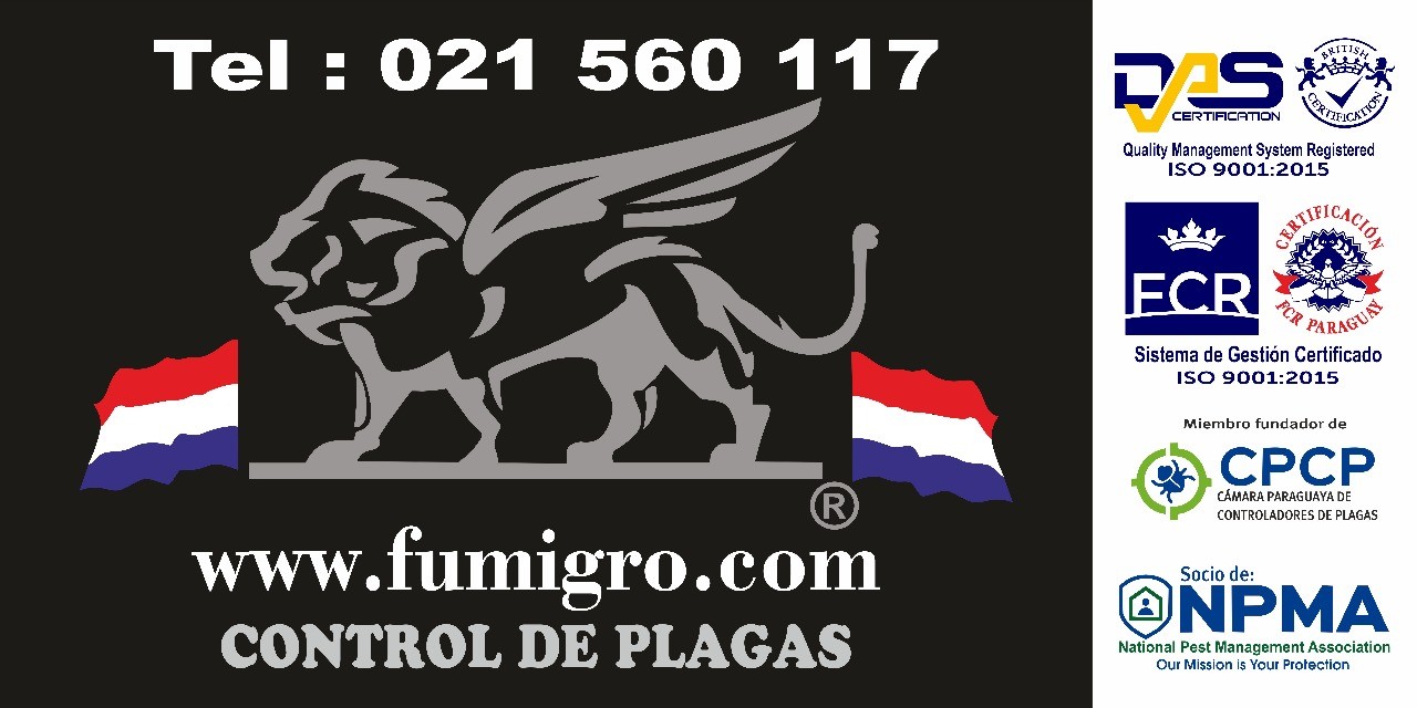 Banner Superior